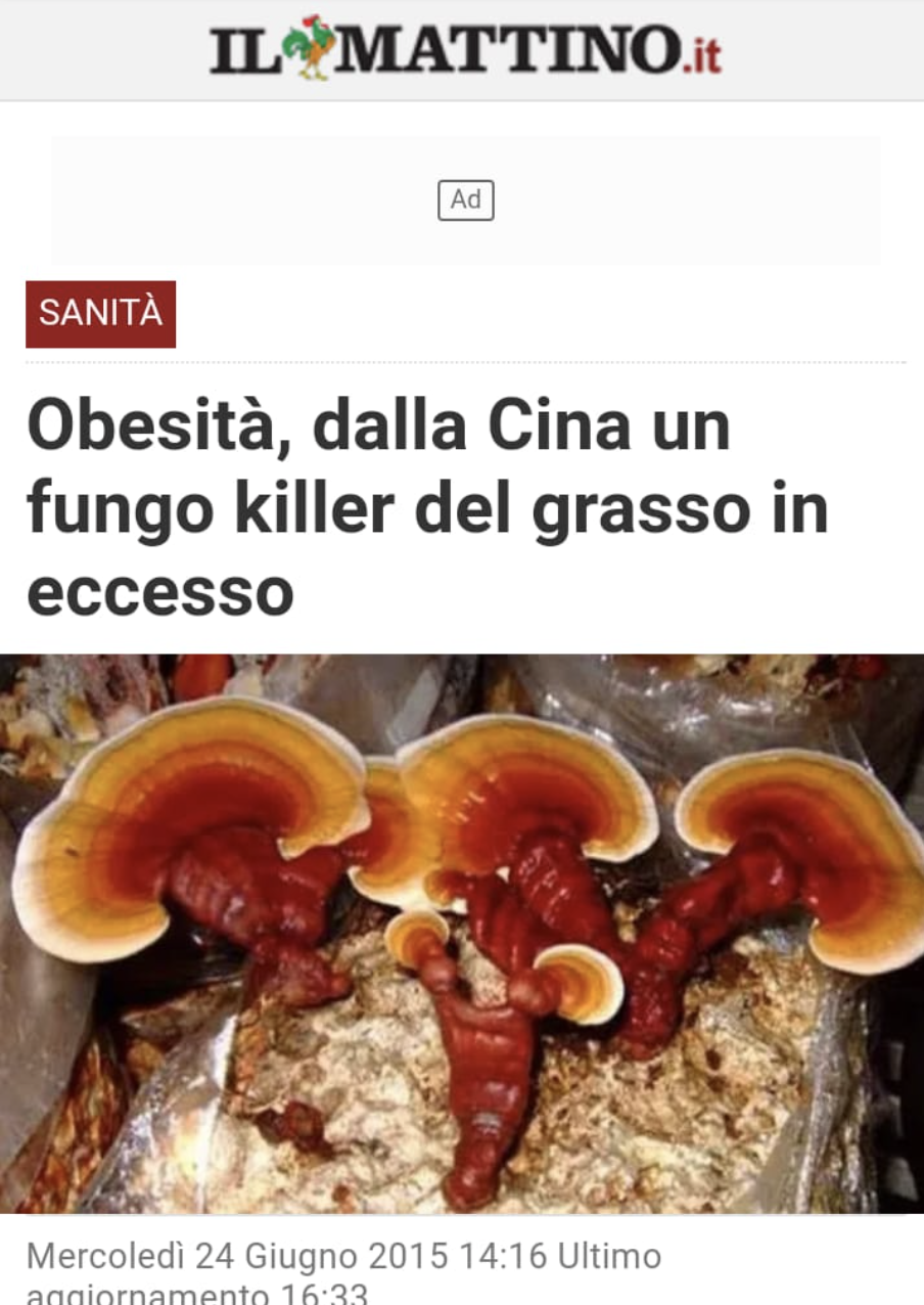Screenshot 2024-07-01 alle 23.17.27